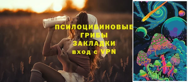 2c-b Беломорск